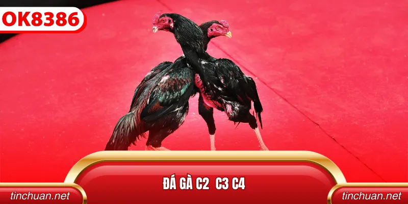 Đá Gà C2 C3 C4