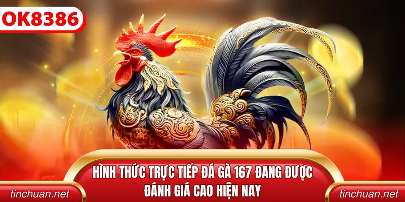 Hình thức trực tiếp đá gà 167 đang được đánh giá cao hiện nay